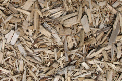biomass boilers Peckforton