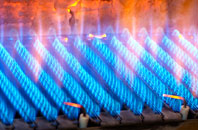 Peckforton gas fired boilers